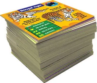 Brain Box Animals Card Game