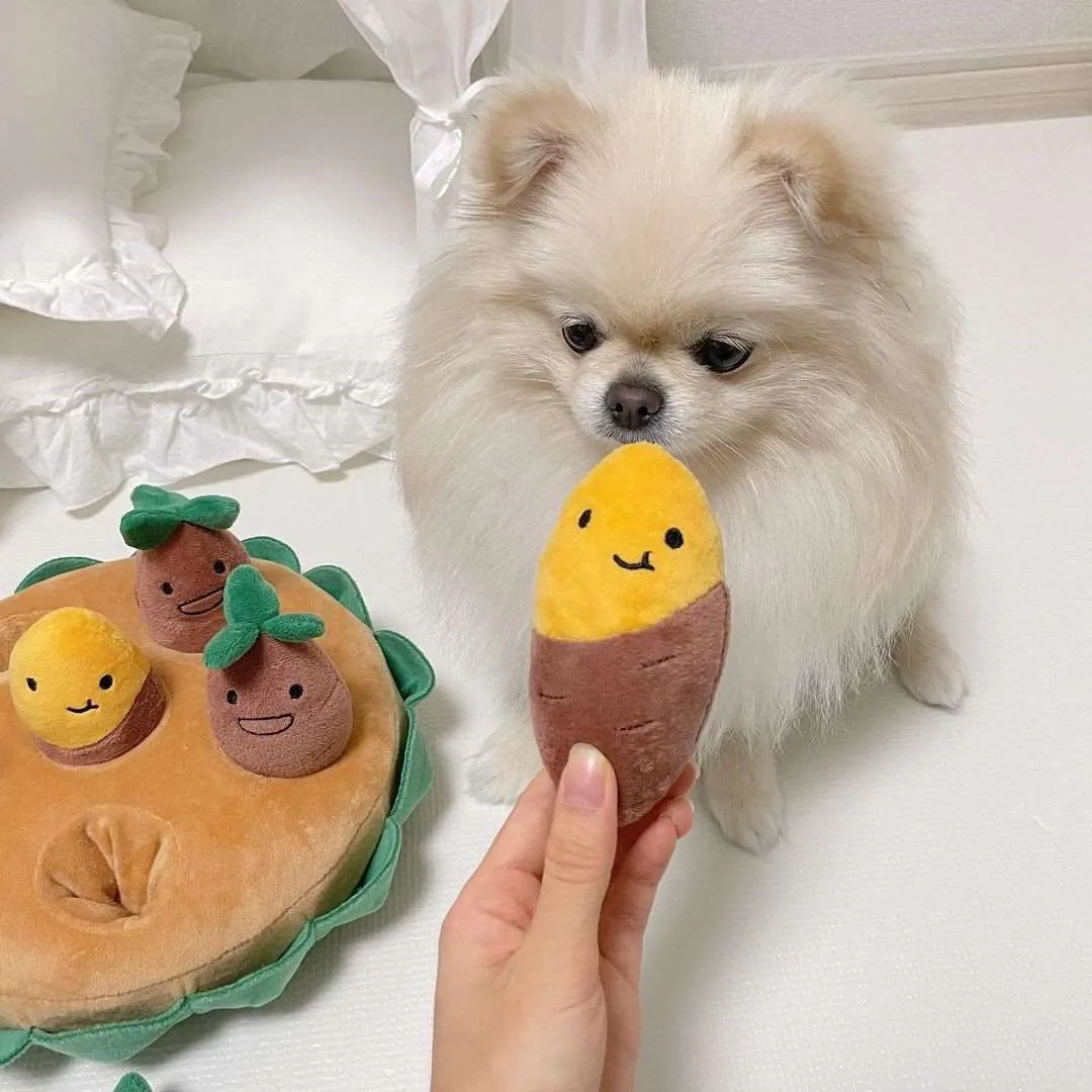 Pawsitively Sweet Potato Dog Toys