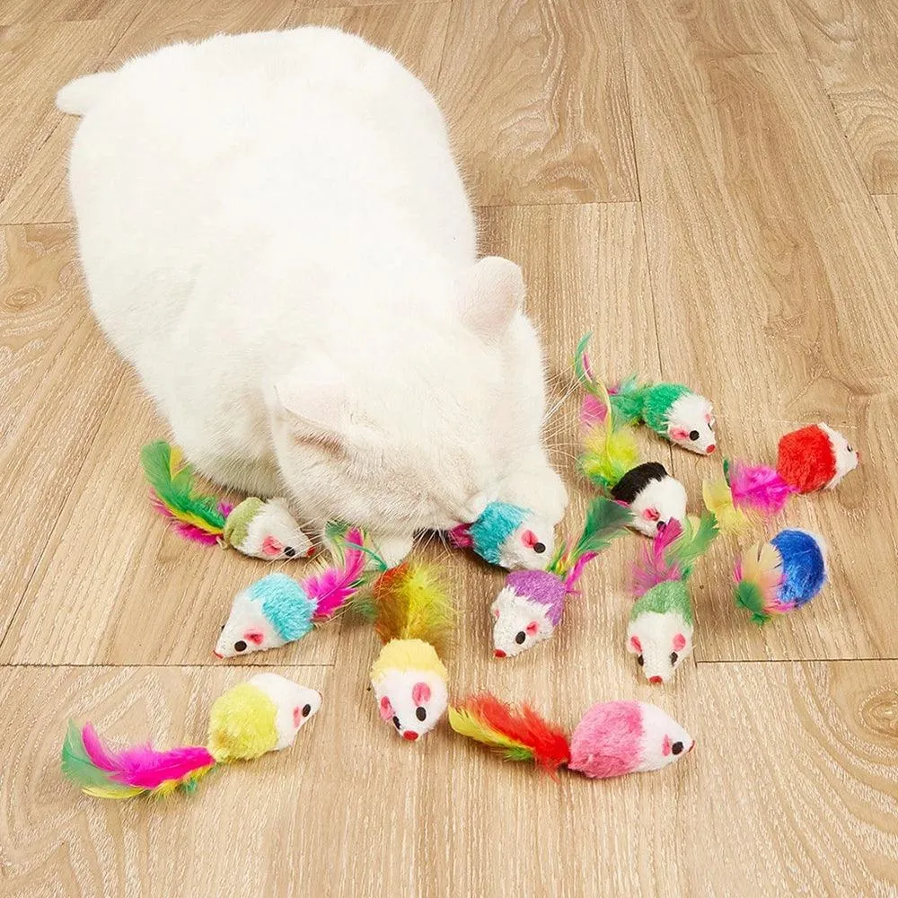 Pet Christmas Set, Socks, Packaging Toy