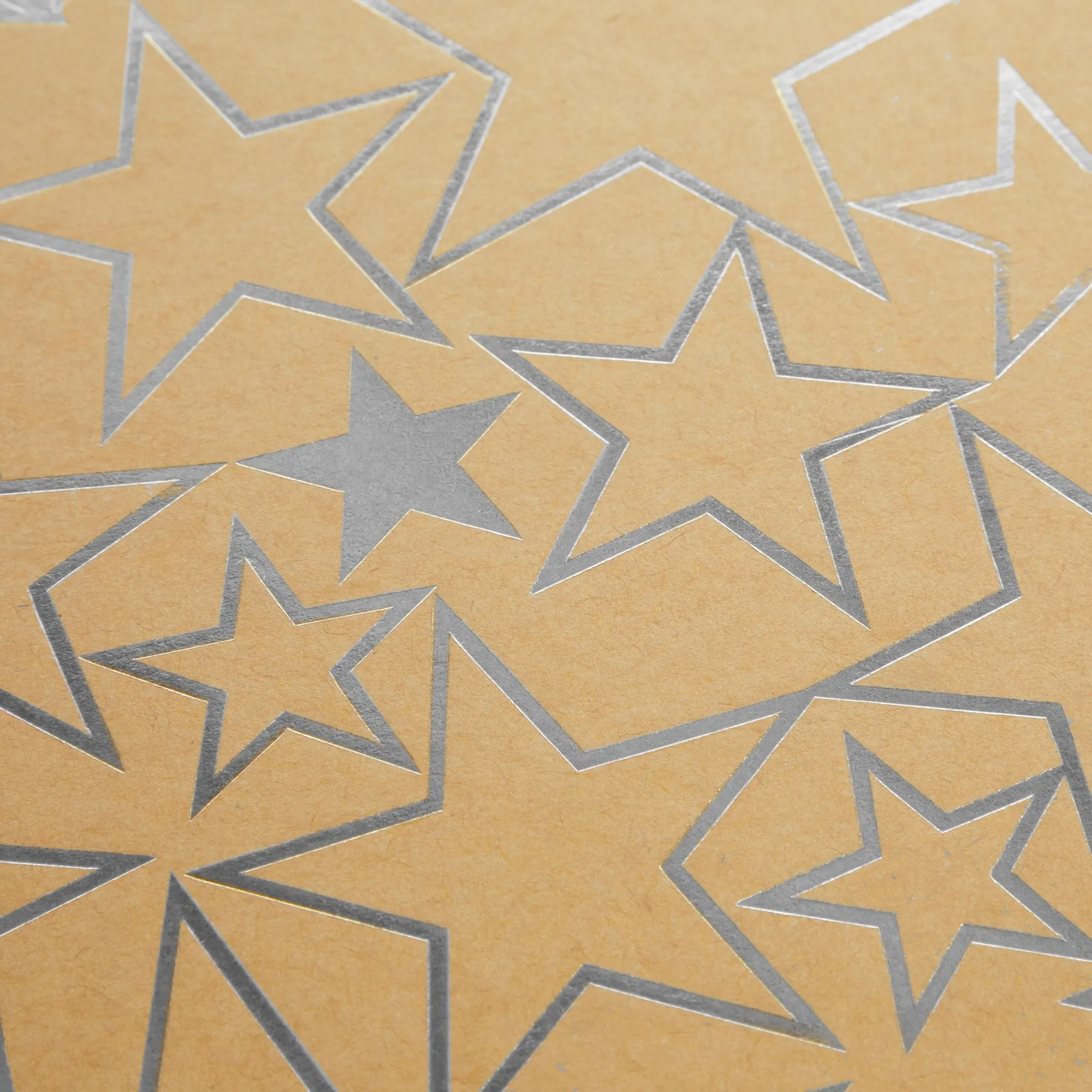 Set of 10 Nesting Gift Boxes with Lids, Cardboard Box with Silver Foil Star Designs (10 Sizes)